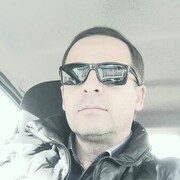  ,   Damir, 41 ,   ,   