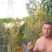  ,   , 61 ,  