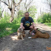 ���������� ������, ���� ������� �����, 37 ���, ������������ ��� ������