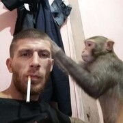 ���������� ���������, ���� ������� ����������, 41 ���, ������������ ��� ���������