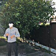  ,  , 27