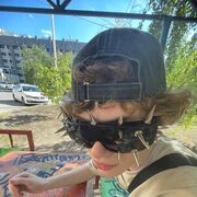 ���������� ������, ���� ����� ������, 22 ����, ������������ ��� ������, ����� � ���������, c�������� ���������, ���������