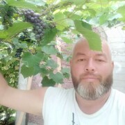  ,   , 52 ,   ,   