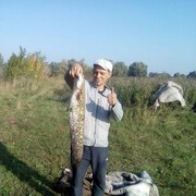  ,   Adcd, 48 ,   ,   