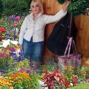  --,   , 57 ,   c , 
