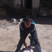 ���������� �������, ���� ������� HURSHIDJON, 45 ���, ������������ 