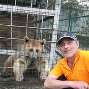 ���������� ������������, ���� ������� David, 49 ���, ������������ ��� ������, ����� � ���������