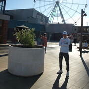 ���������� ������������, ���� ������� ��������, 31 ���, ������������ ��� ������, ����� � ���������, c�������� ���������