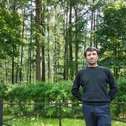 ���������� �����-���������, ���� ������� SAID, 53 ����, ������������ 