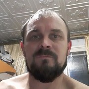  -,   , 41 ,   