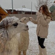 ���������� ������, ���� ������� �����, 23 ����, ������������ ��� ����� � ���������, c�������� ���������