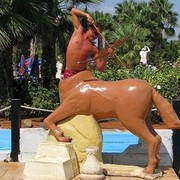 ���������� ����, ���� ������� �������, 46 ���, ������������ ��� ������, ���������