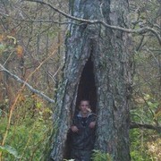 ���������� ����-���������, ���� ������� ���������, 38 ���, ������������ ��� ������, ����� � ���������, c�������� ���������