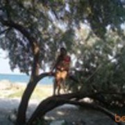  ,   , 32 ,  