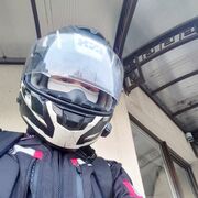 ���������� �����, ���� ������� DoberFox, 42 ����, ������������ ��� ������, ����� � ���������, ���������