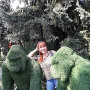 ���������� ����, ���� ������� ��������, 51 ���, ������������ 