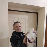 ���������� ����������, ���� ������� �������, 40 ���, ������������ ��� ������, ����� � ���������, c�������� ���������, ���������