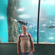 ���������� ��������, ���� ������� �����, 59 ���, ������������ ��� ������, ����� � ���������, ���������