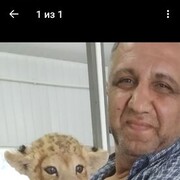  ,   , 53 ,   ,   