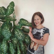  ,   , 51 ,   c , 