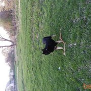 ���������� ����, ���� ������� �������, 35 ���, ������������ ��� ������