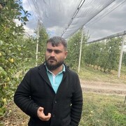 ���������� �������, ���� ������� Sergiu, 38 ���, ������������ ��� ������, ����� � ���������