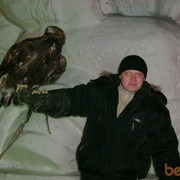 ���������� ������������, ���� ������� �������, 44 ����, ������������ ��� ����� � ���������, c�������� ���������