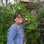 ���������� ���������, ���� ������� ����, 44 ����, ������������ ��� c�������� ���������