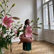 ���������� ������, ���� ������� ����, 23 ����, ������������ ��� ������, ����� � ���������