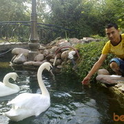 ���������� �������, ���� ������� Adashev, 32 ����, ������������ ��� ������, ����� � ���������, c�������� ���������, ���������