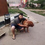   ,   Sahin, 31 ,   ,   