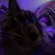  ,   , 30 ,   ,   , c , 