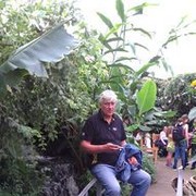  ,   Arturas, 66 ,   ,   , c 