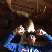 ���������� ���������, ���� ������� �������, 40 ���, ������������ ��� ������, ����� � ���������, c�������� ���������