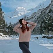 ���������� �����������, ������