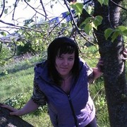  ,   , 41 ,     , c 