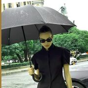 ���������� ����, ���������