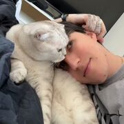  ,   , 26 ,   