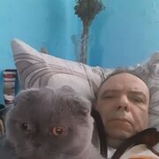  ,   , 54 ,   ,   , 