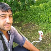 ���������� ���������, ���� ������� ����, 41 ���, ������������ ��� ������, ����� � ���������