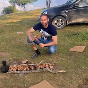  ,   , 34 ,   c 