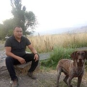 ���������� ������, ���� ������� ���, 36 ���, ������������ ��� ������, ����� � ���������, c�������� ���������