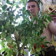  ,   , 55 ,   ,   , c 