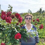 ���������� �����, ���� ������� �����, 57 ���, ������������ ��� ����� � ���������, c�������� ���������