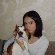 ���������� �����, ���������