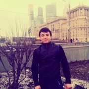 ���������� ������, ���� ������� Sardor, 31 ���, ������������ ��� ������, ����� � ���������, c�������� ���������