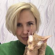 ���������� ���������, ���� ������� �����, 43 ����, ������������ ��� ����� � ���������, ���������