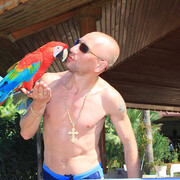 ���������� ������, ���� ������� ����, 48 ���, ������������ ��� ������, ����� � ���������, c�������� ���������, ���������