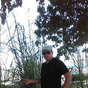 ���������� ����, ���� ������� �������, 48 ���, ������������ ��� ������, ����� � ���������, c�������� ���������