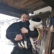 ���������� ������������, ���� ������� �������, 41 ���, ������������ ��� ������, ����� � ���������